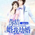 你结婚我劫婚全文免费阅读,我的爱情保卫战