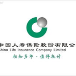 人寿保险公司官方网站,官方网站深度解读