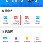 广东车辆违章查询