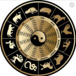 生肖配对指数,2025年生肖相合相冲运势解析”