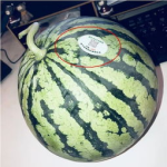 舒城网红吃瓜,揭秘网络红人的幕后故事