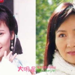 演员陈美琪个人资料简介,从新白娘子传奇到多栖发展，探寻演员陈美琪的璀璨人生